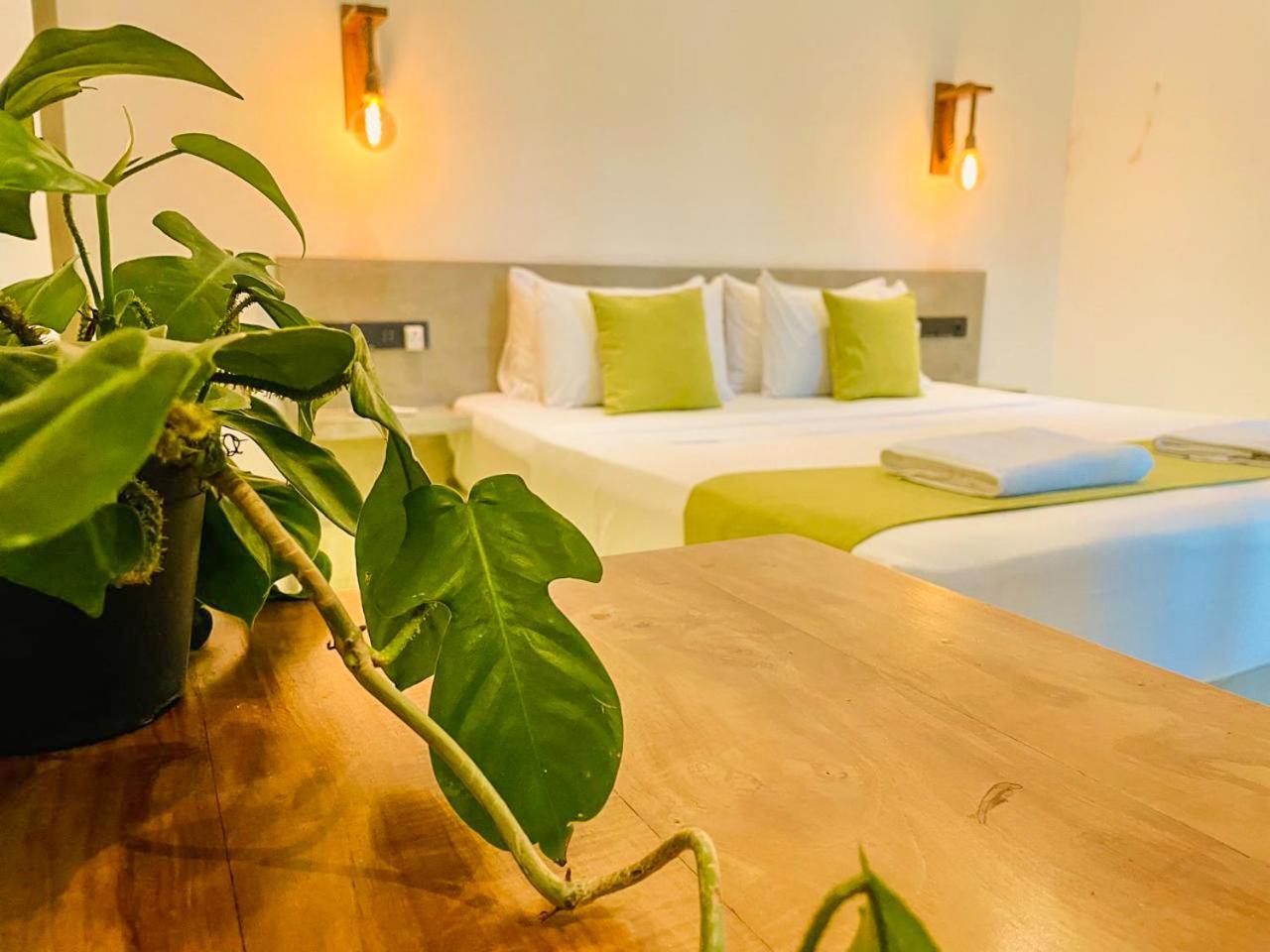 Eton Villa Dikwella Dış mekan fotoğraf