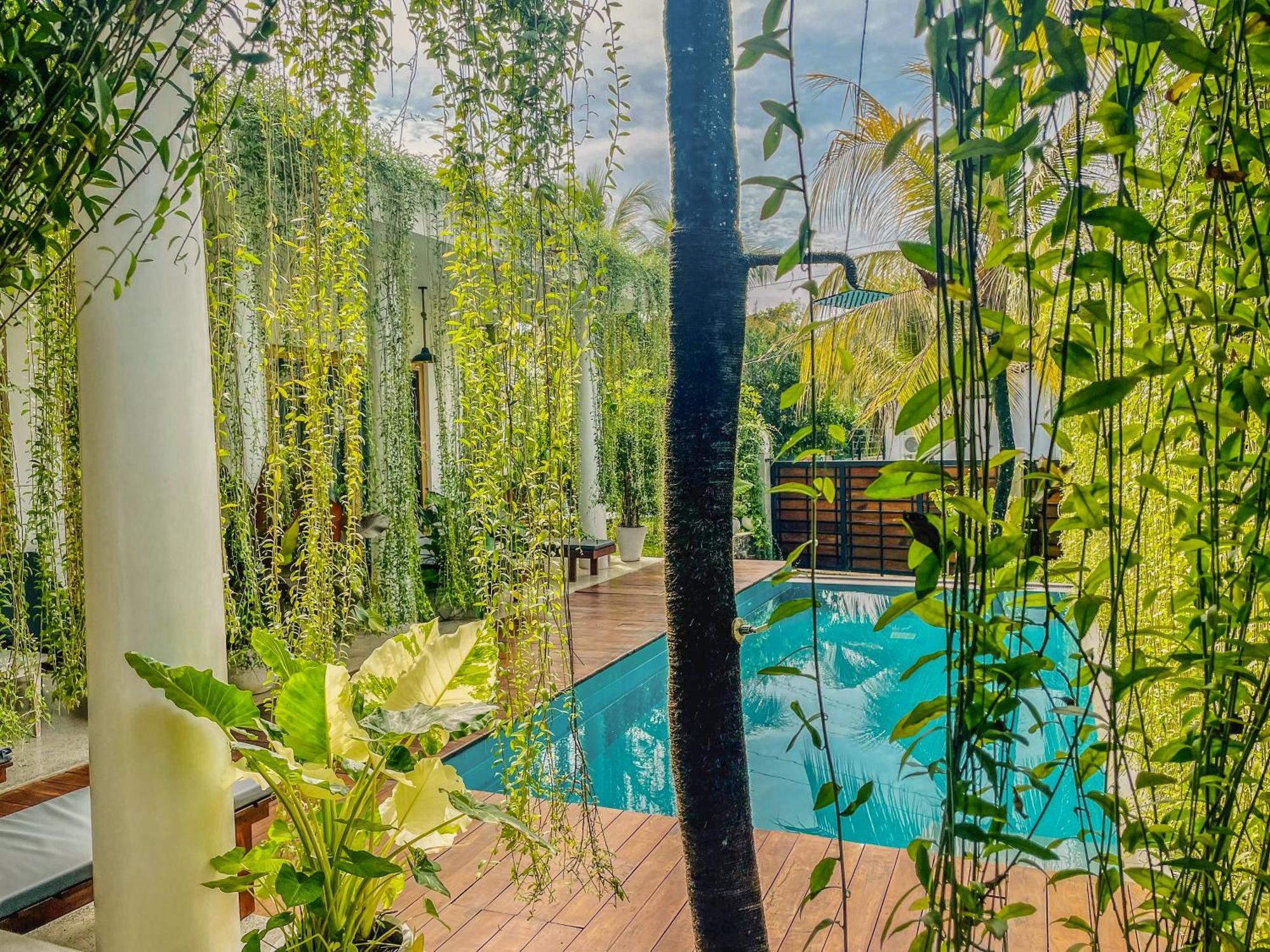 Eton Villa Dikwella Dış mekan fotoğraf