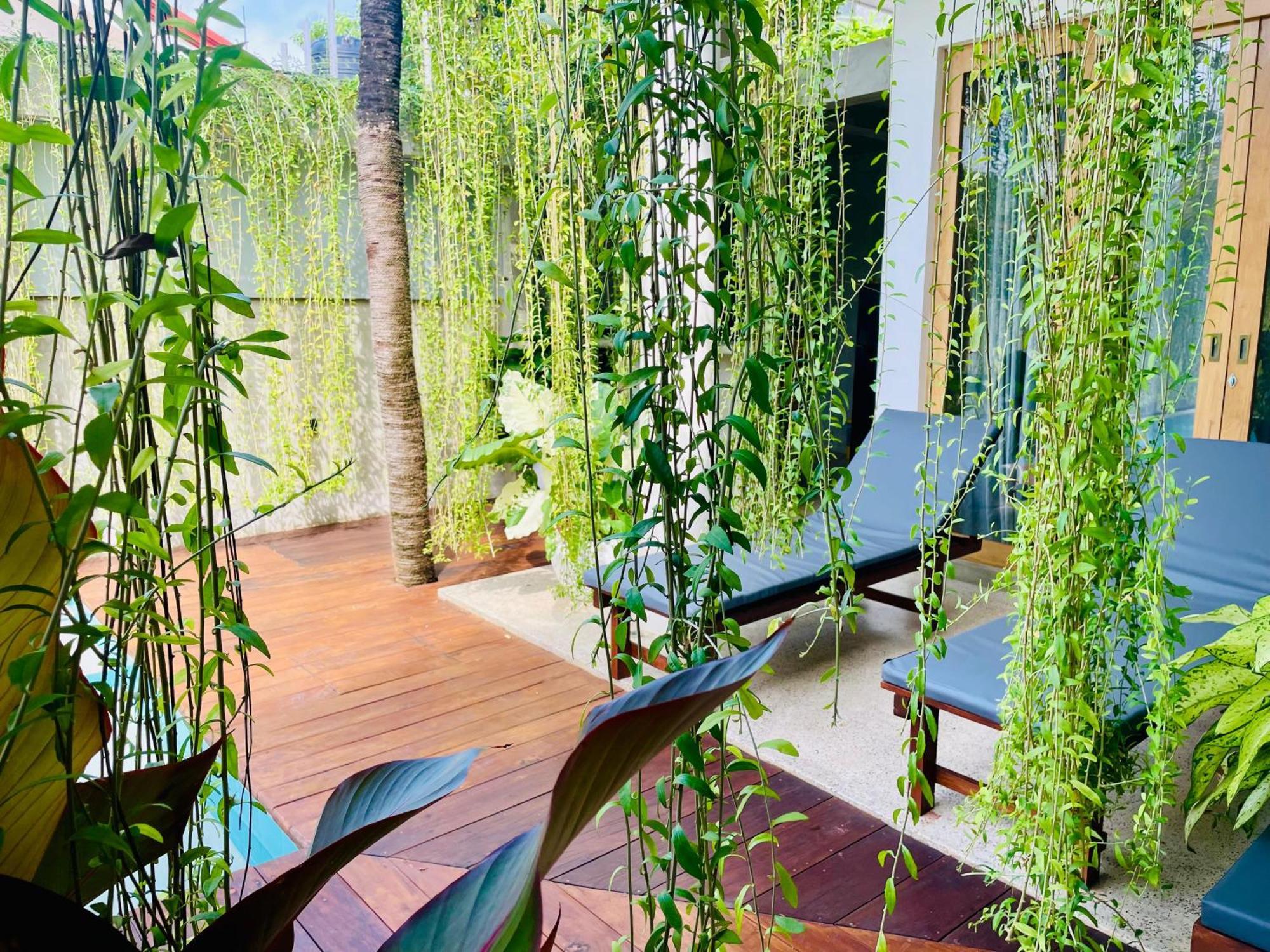 Eton Villa Dikwella Dış mekan fotoğraf