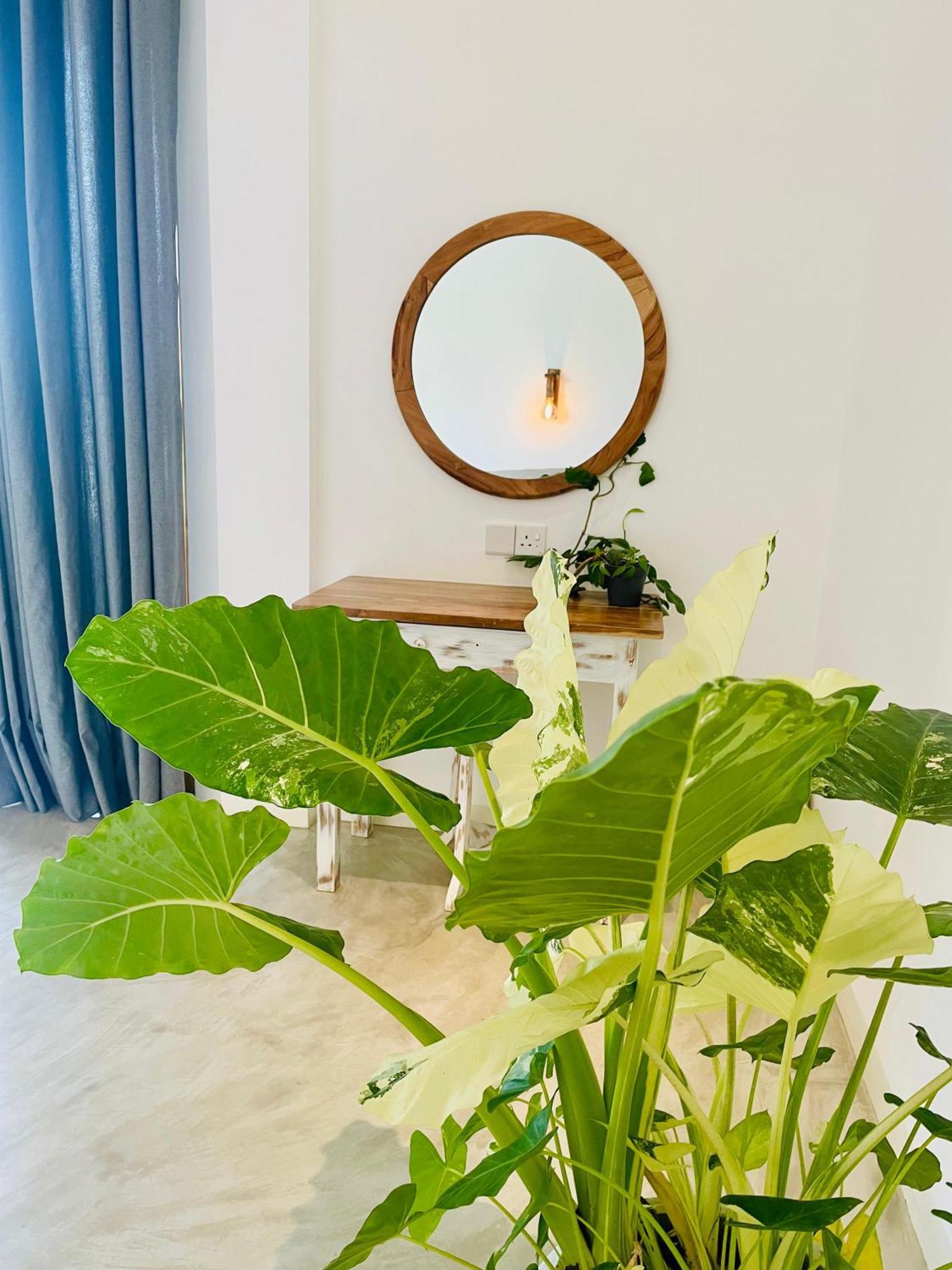 Eton Villa Dikwella Dış mekan fotoğraf